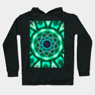 Green bacterium. Round abstract circle. Decorative elements, colored circular design elements. Kaledoscope pattern. Hoodie